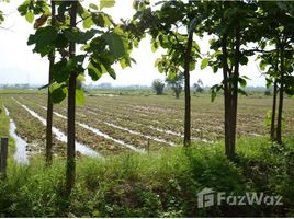  Land for sale in Mueang Phayao, Phayao, Mae Puem, Mueang Phayao