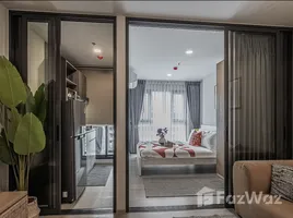 อพาร์ทเม้นท์ 1 ห้องนอน ให้เช่า ในโครงการ แอสปาย อ่อนนุช สเตชั่น, พระโขนง, คลองเตย, กรุงเทพมหานคร, ไทย