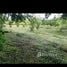  Terreno (Parcela) en venta en Costa Rica, Carrillo, Guanacaste, Costa Rica