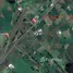  Terreno (Parcela) en venta en Pinguili, Tungurahua, Pinguili, Mocha, Tungurahua, Ecuador
