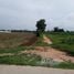  Land for sale in Thailand, Nong Ya Sai, Nong Ya Sai, Suphan Buri, Thailand