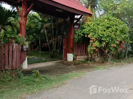 2 Bedroom Villa for rent in Bo Suak, Nan, Bo Suak, Mueang Nan, Nan, Thailand
