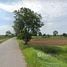  Land for sale in Mueang Khong, Nakhon Ratchasima, Mueang Khong, Khong