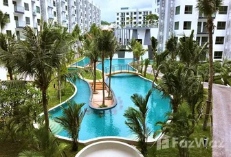 Photos 1 of the Communal Pool at Arcadia Beach Resort