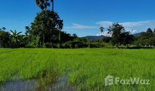 N/A Land for sale in Huai Sai, Chiang Mai 