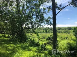  Земельный участок for sale in Пханга, Lo Yung, Takua Thung, Пханга