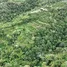  Terreno (Parcela) en venta en Kintamani, Bali, Kintamani, Bangli, Bali