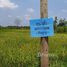  Земельный участок for sale in Ban Paeng, Phra Nakhon Si Ayutthaya, Ban Paeng, Bang Pa-In, Phra Nakhon Si Ayutthaya