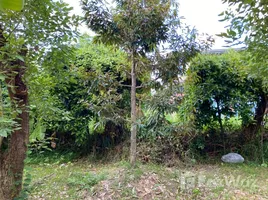  Land for sale in Bang Krang, Nonthaburi, Bang Krang, Mueang Nonthaburi, Nonthaburi