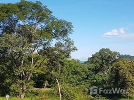  Terreno (Parcela) en venta en Santa Cruz, Guanacaste, Santa Cruz