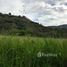  Land for sale in Vilcabamba Victoria, Loja, Vilcabamba Victoria