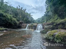  Land for sale in Laos, Paksxong, Champasak, Laos