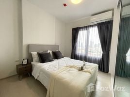 1 Bedroom Condo for rent at Chapter One ECO Ratchada - Huaikwang, Huai Khwang