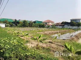  Grundstück zu verkaufen in Bang Na, Bangkok, Bang Na, Bang Na, Bangkok, Thailand
