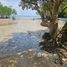  Terreno (Parcela) en venta en Buenavista, Central Visayas, Buenavista, Bohol