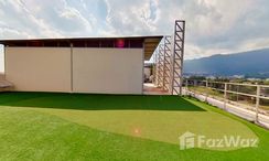 Photos 1 of the Outdoor Putting Green at Hilltania Condominium