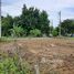  Land for sale in Pa Daet, Mueang Chiang Mai, Pa Daet