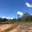  Terreno (Parcela) en venta en El Carmen, Norte De Santander, El Carmen