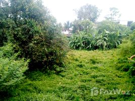  Land for sale in Thalang, Phuket, Choeng Thale, Thalang