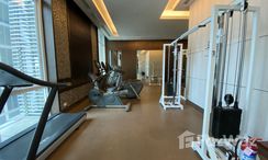Photos 2 of the Gimnasio Comunitario at The Prime 11