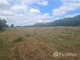  Land for sale in Saraburi, Tha Khlo, Kaeng Khoi, Saraburi