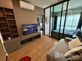 Studio Condo for rent at Arise Condo At Mahidol, Pa Daet, Mueang Chiang Mai, Chiang Mai, Thailand
