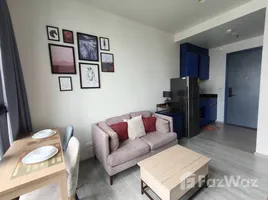 1 Bedroom Apartment for rent at XT Ekkamai, Khlong Tan Nuea, Watthana, Bangkok