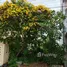  Land for sale in Talat Nuea, Phuket, Talat Nuea, Phuket Town, Phuket