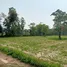  Land for sale in Sawai, Prang Ku, Sawai