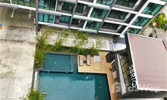 Photos 3 of the Communal Pool at Serio Sukhumvit 50