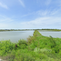  Land for sale in Thailand, Ban Khlong Suan, Phra Samut Chedi, Samut Prakan, Thailand