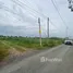  Land for sale in Bueng Ba, Pathum Thani, Bueng Ba, Nong Suea, Pathum Thani, Thailand