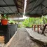  Land for sale in Bo Phut, Surat Thani, Bo Phut, Koh Samui