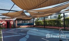 Photo 3 of the Terrain de tennis at Civic Park