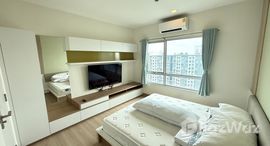 ยูนิตมือสองและให้เช่า