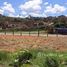  Land for sale at Centro, Itanhaem, Itanhaem