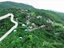 ขายที่ดิน ใน ตลิ่งงาม, สุราษฎร์ธานี, ตลิ่งงาม, เกาะสมุย