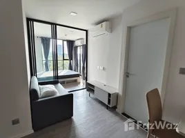 คอนโด 1 ห้องนอน ให้เช่า ในโครงการ แอทโมซ ทรอปิคาน่า บางนา, บางนา, บางนา