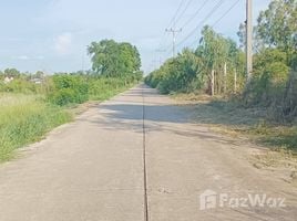 在春武里出售的 土地, Wat Luang, Phanat Nikhom, 春武里