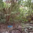  Land for sale in Thawi Watthana Bangkok, Sala Thammasop, Thawi Watthana, Bangkok