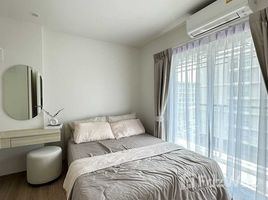 1 спален Кондо в аренду в Phyll Phuket by Central Pattana, Wichit, Пхукет Тощн, Пхукет