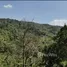 ขายที่ดิน ใน สาคู, ภูเก็ต, สาคู, ถลาง