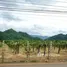  Land for sale in Nong Nam Daeng, Nakhon Ratchasima, Nong Nam Daeng, Pak Chong, Nakhon Ratchasima