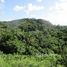  Land for sale in Honduras, Roatan, Bay Islands, Honduras