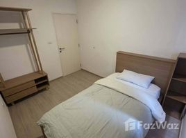 วิลล่า 3 ห้องนอน ให้เช่า ในโครงการ อินดี้ 2 บางนา-รามคำแหง 2, ดอกไม้