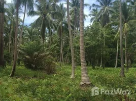 リパノイ, サムイ島 で売却中 土地区画, リパノイ