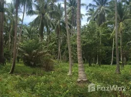  Land for sale in Surat Thani, Lipa Noi, Koh Samui, Surat Thani