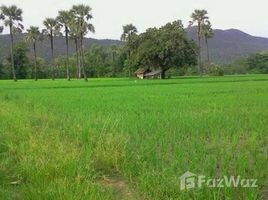 在山甘烹, 清迈出售的 土地, On Tai, 山甘烹