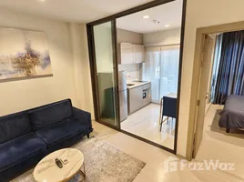 คอนโด 1 ห้องนอน ให้เช่า ในโครงการ ไลฟ์ อโศก, บางกะปิ