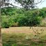  Land for sale in Phuket Town, Phuket, Chalong, Phuket Town